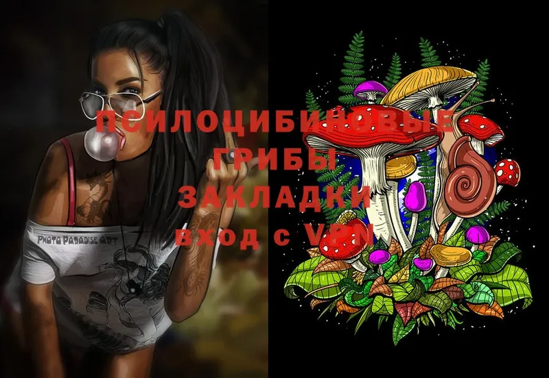 Галлюциногенные грибы Magic Shrooms  Вятские Поляны 